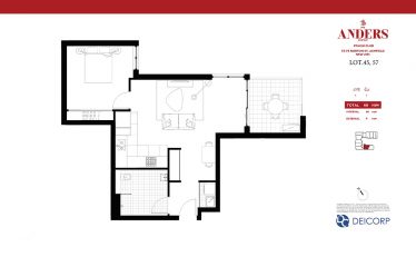 73-75 Norton Street, Ashfield, NSW, 2131