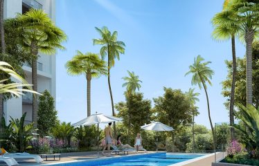 9 Maple Tree Road Westmead NSW 2145